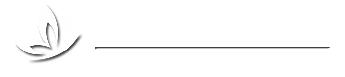Obstetrician & Gynaecologist | Dr Sandra Fonseca